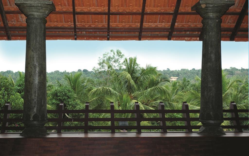 Amrutham Ayurvedic Village Resort Kovalam Zimmer foto